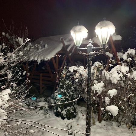 Міні Готель Вілла Вікторія Берегово Екстериор снимка