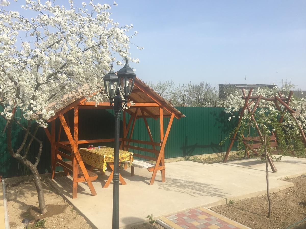 Міні Готель Вілла Вікторія Берегово Екстериор снимка