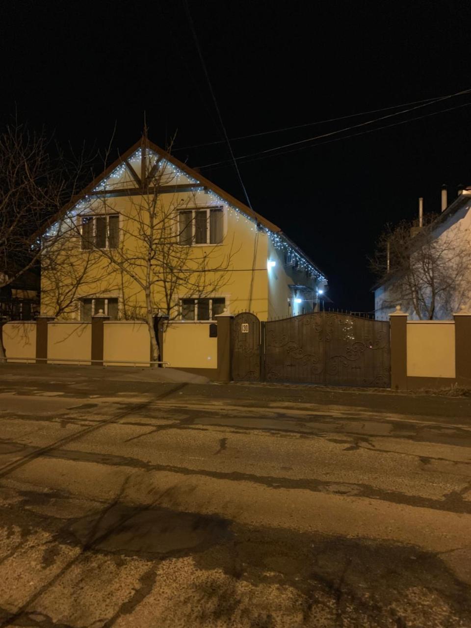Міні Готель Вілла Вікторія Берегово Екстериор снимка